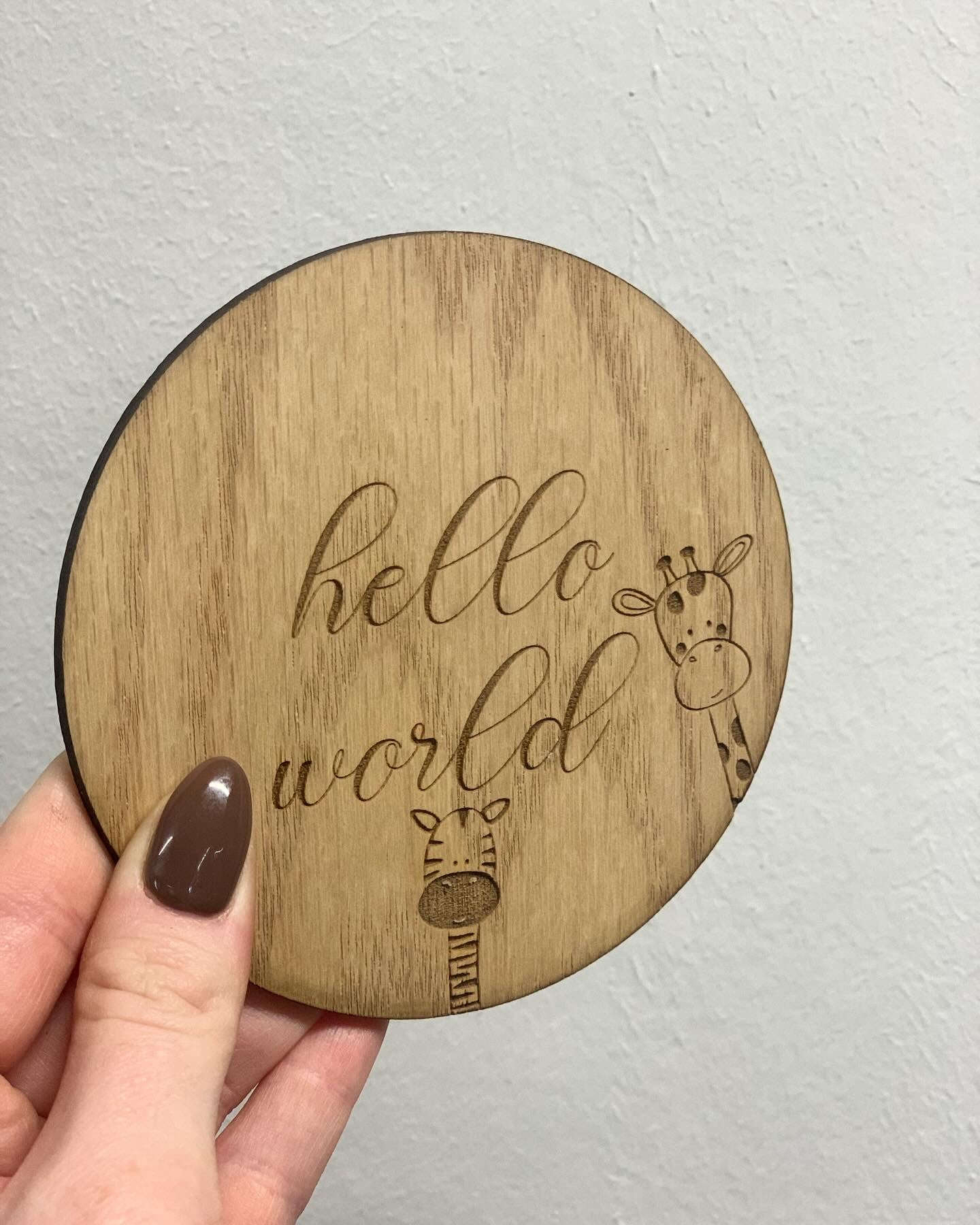 Baby Milestone Discs