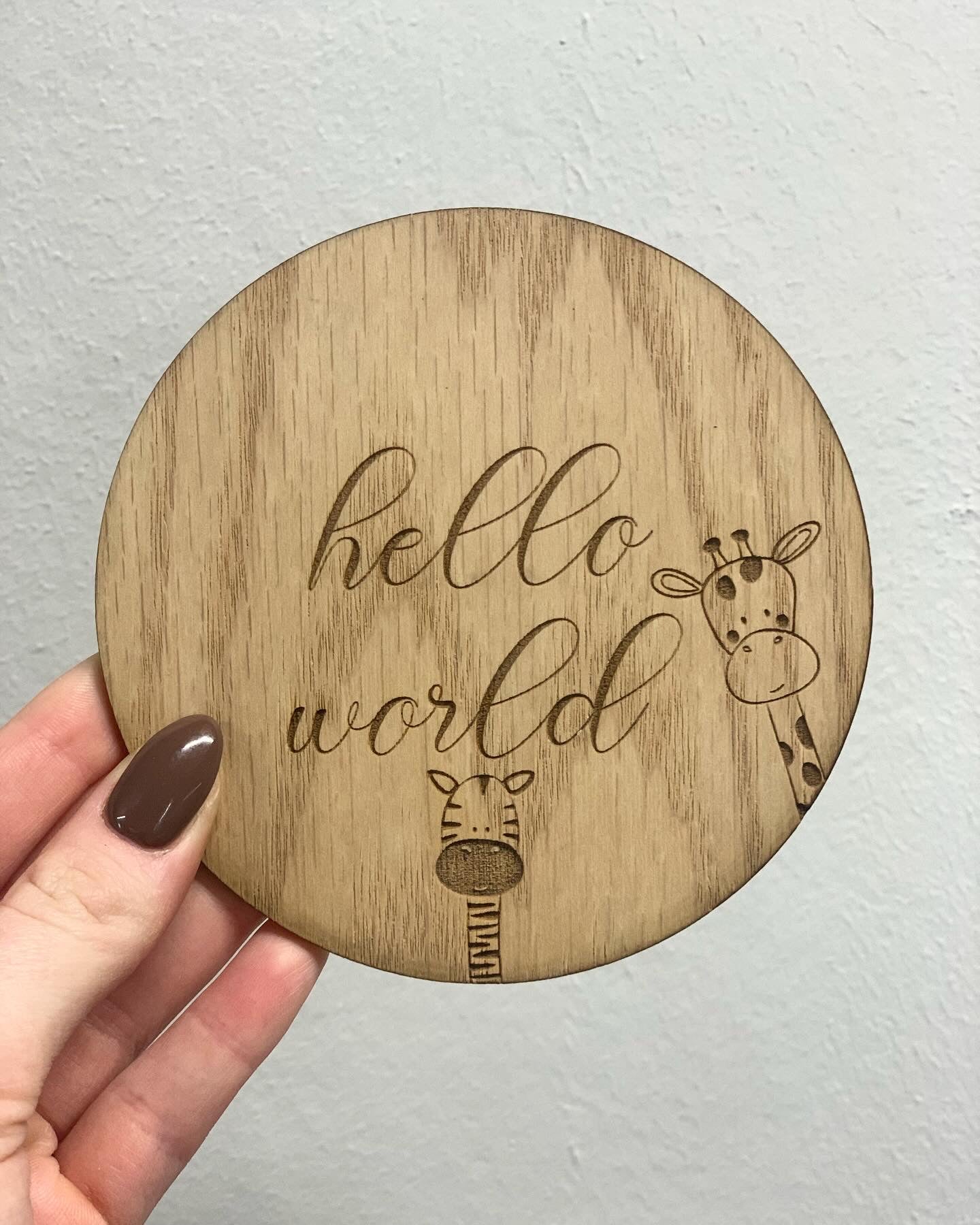 Baby Milestone Discs