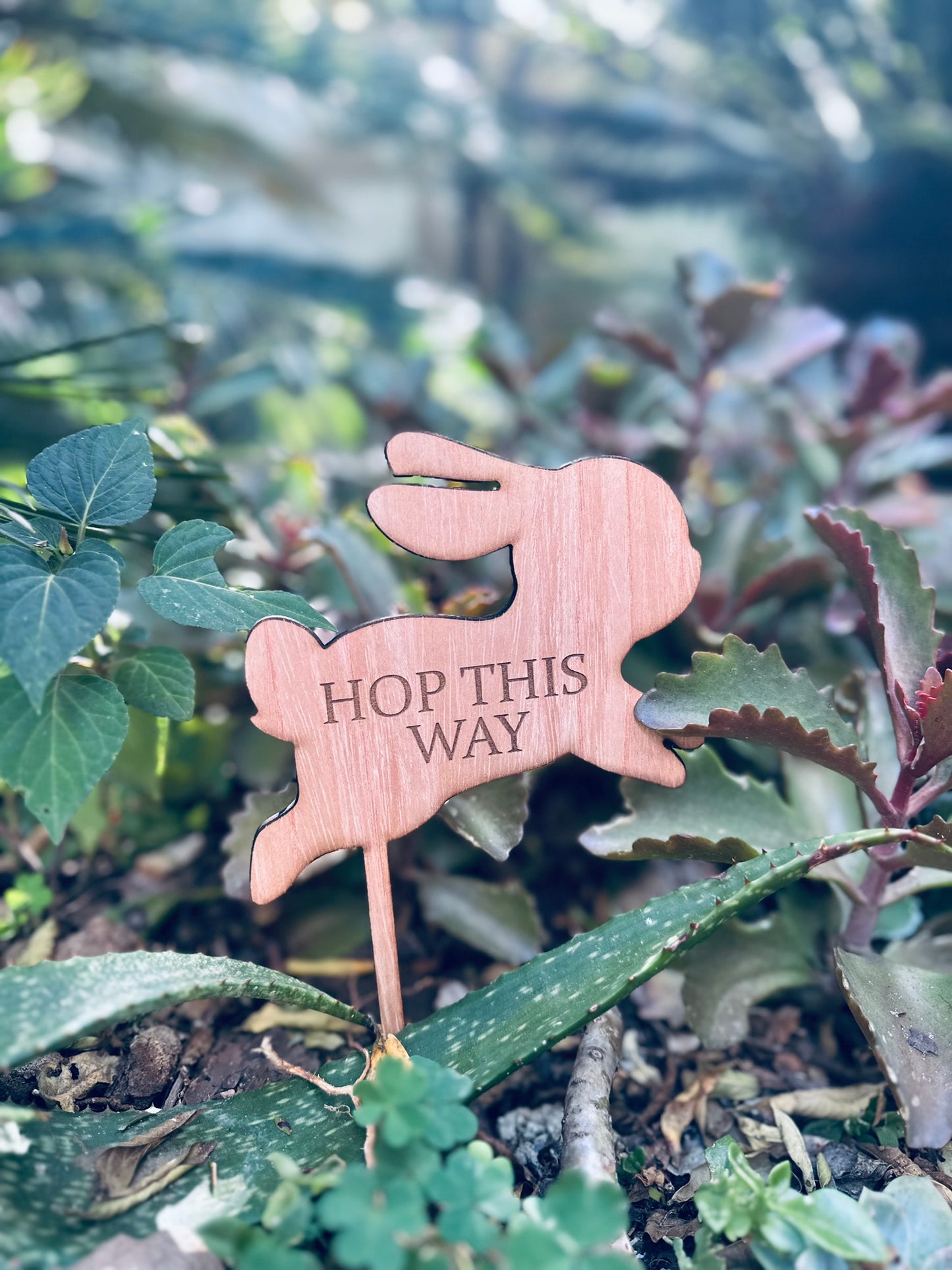 Easter Egg Hunt Signs