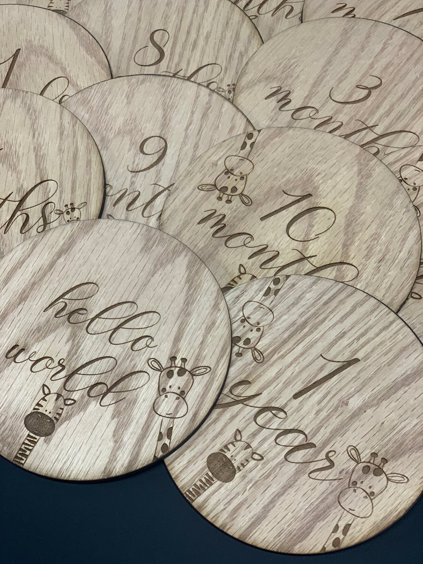 Baby Milestone Discs