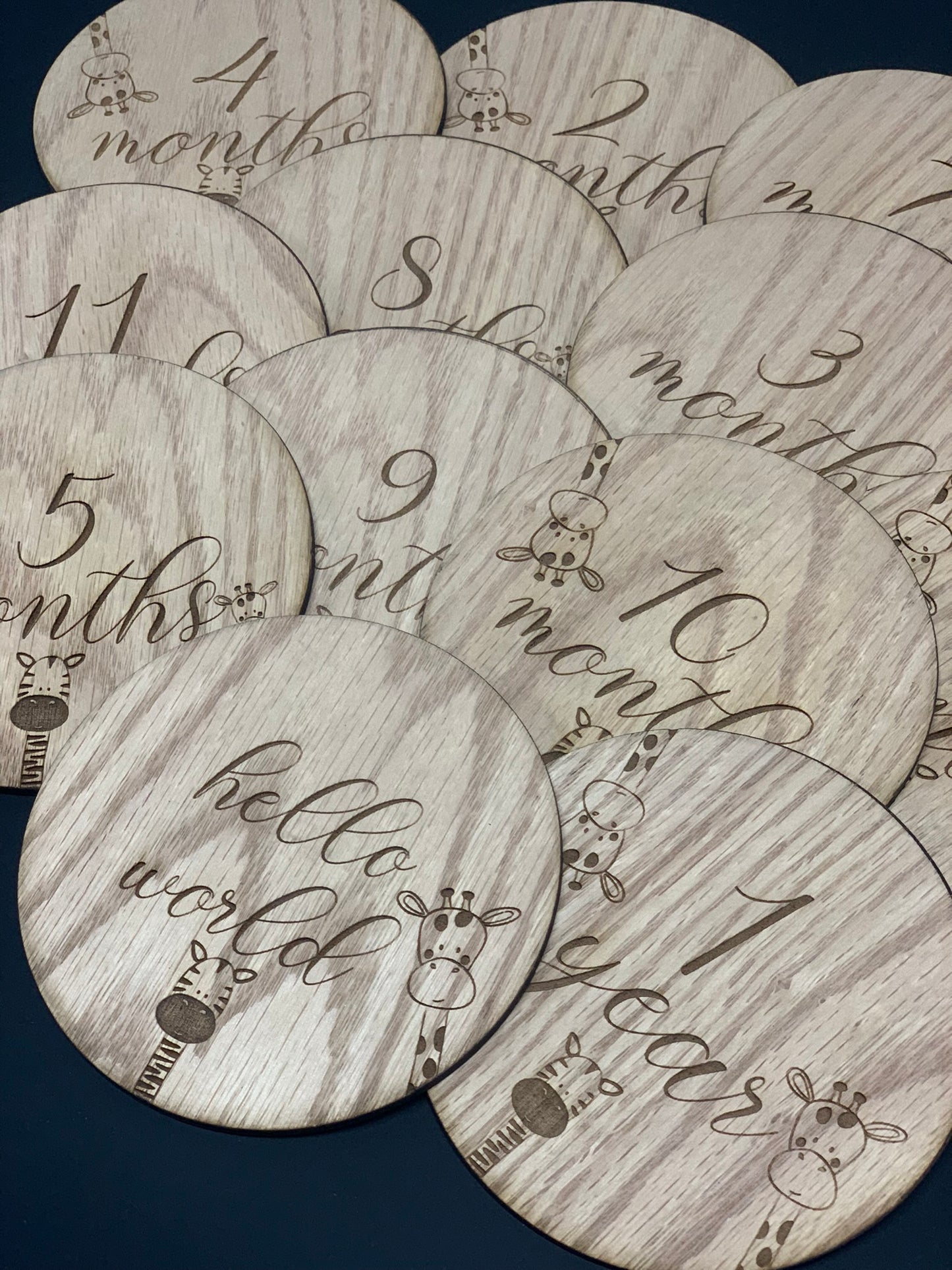 Baby Milestone Discs