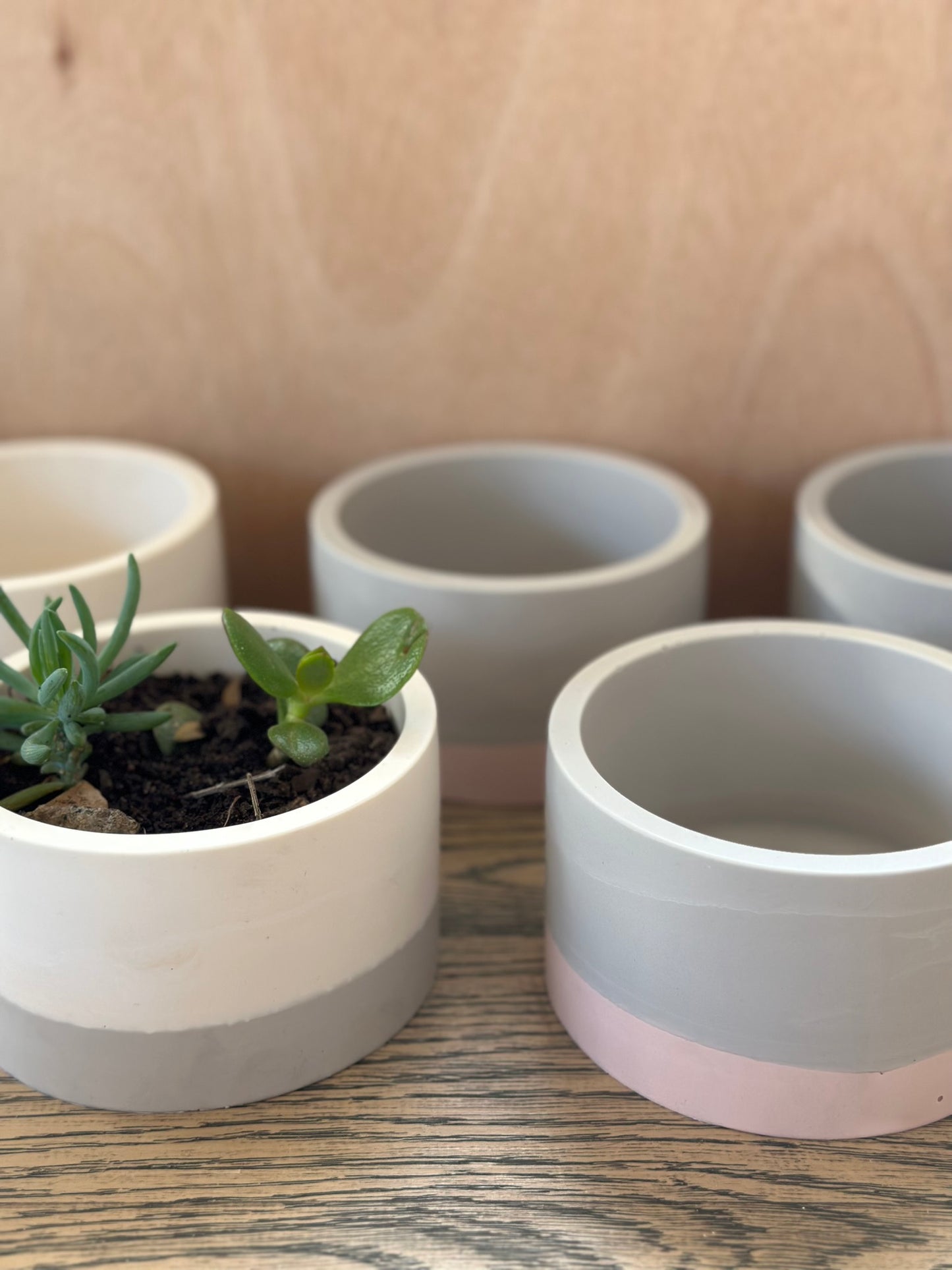 Large Pot