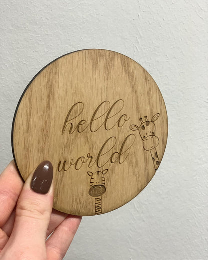 Baby Milestone Discs