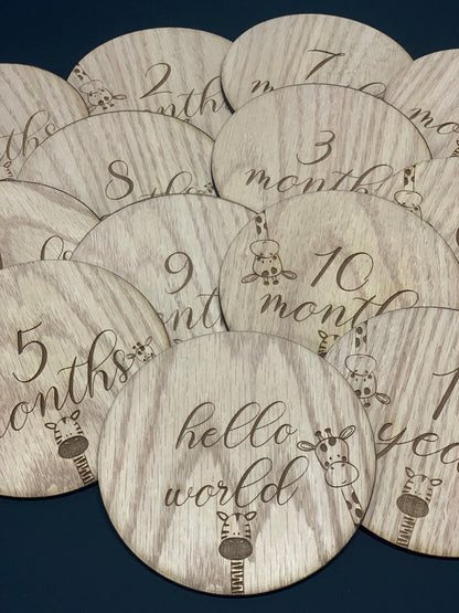 Baby Milestone Discs
