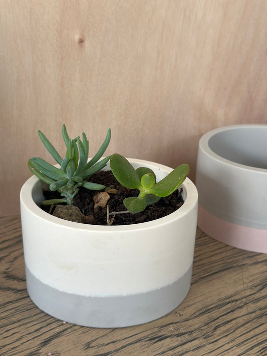 Large Pot