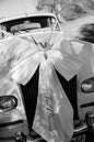 Wedding - Car bow